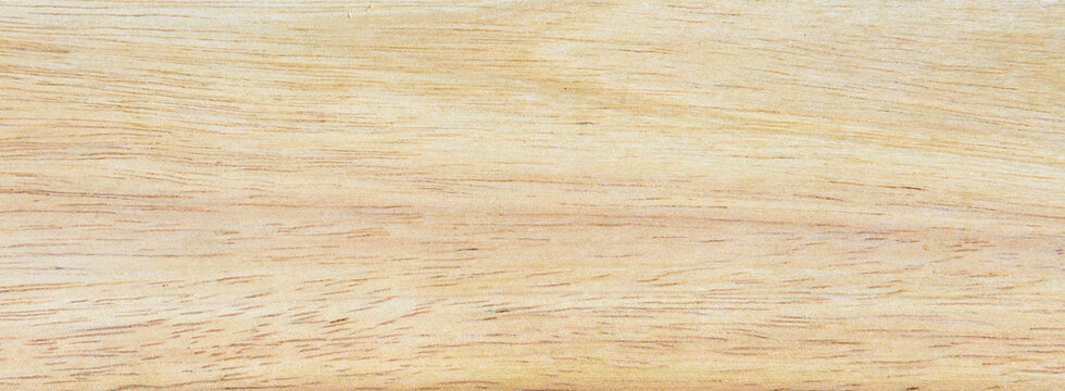 Wood texture background, light plank with nature color, pattern and grain