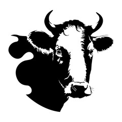 Black silhouette cow isolated on white. Hand drawn vector illustration.