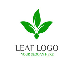 Leaves logo vector isolated on white background. Various shapes of green leaves of trees and plants. Elements for ECO  and bio logos.