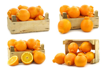 fresh and colorful  Minneola tangelo fruit and a cut one in a wooden crate on a white background