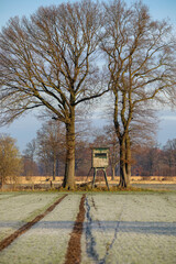 Hochstand im Winter