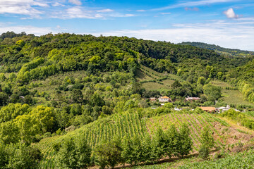 Fototapeta na wymiar Vineyards, houses and forest in valley