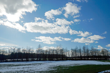 Spring landscape. Sunny frosty day in early spring. First days of March. Blue bright sky. Snow.