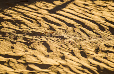 Sands of the Kalahari