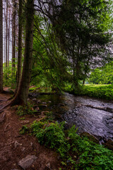 forest river in Altenberg, Germany.