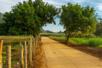 Fototapeta na wymiar Estrada rural em Guarani, estado de Minas Gerais, Brasil