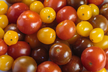 Multicolored tomatoes of different varieties. Fashionable vegan food.