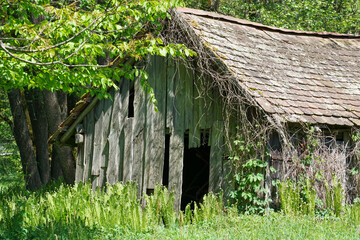 Old wooden house with weathered boards photographed in the forest