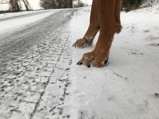 Spur Winter Schnee Winterreifen straße road auto