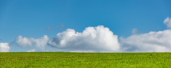 Weiße Wolken in blauem Himmel über Grüner Wiese