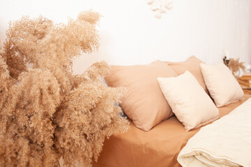 Interior, bedroom, photo studio. Beige brown fashionable. Pampas. Plants are flowers. copy space DIY mocup