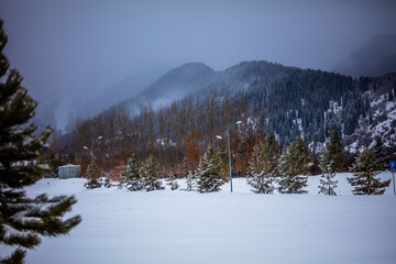 winter landscape with snow