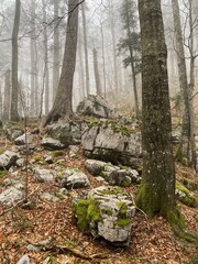 Samarske stijene natural park in Croatia, landscape