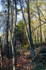 Liebethaler Grund