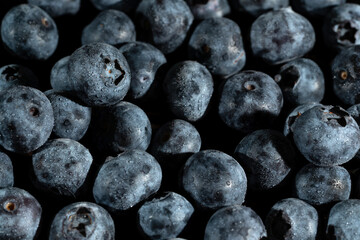 Blueberries background. Fresh berries in drops of water. Selective focus