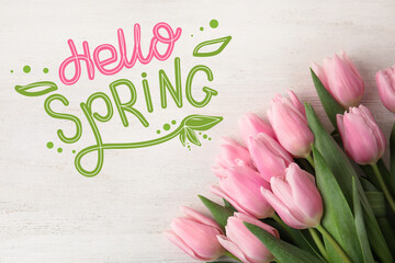 Hello Spring. Beautiful pink tulips on white wooden background, flat lay
