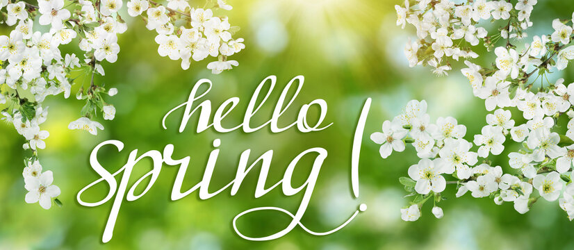 Hello Spring Facebook Cover