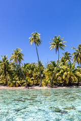 Plage paradisiaque à Taha'a, Polynésie française