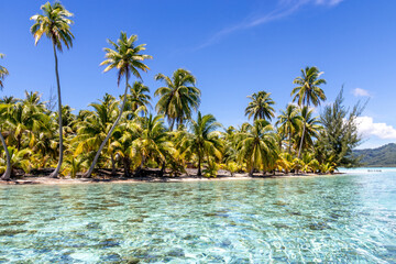 Plage paradisiaque à Taha'a, Polynésie française