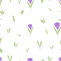 Fototapeta na wymiar Seamless pattern with crocus flowers. Spring and floral texture on white and transparent backgrounds.