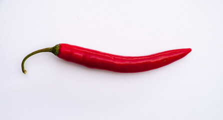 Einzelne Chilli auf weissem Hintergrund
