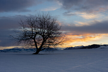 Winter Sunrise Switzerland
