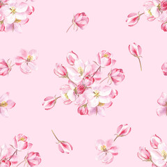 Apple blossom floral pattern painted in watercolors on tender pink background. Elegant design for springtime. Good for fabric, wrapping paper, wallpapers and more.