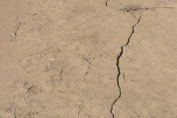 Crack in dry ground early spring. Soil texture, sunlight. Copy space, selective focus