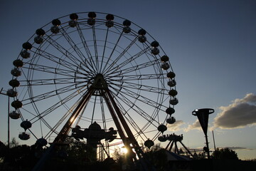 ferris wheel in the park