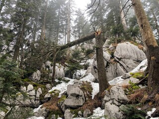 Samarske stijene natural park in Croatia, landscape