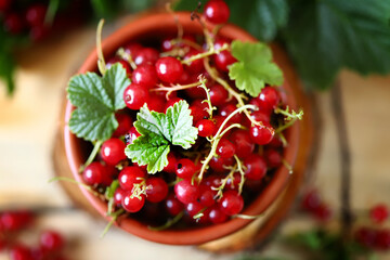 Fresh red currants with leaves on a wooden background. Red berries.