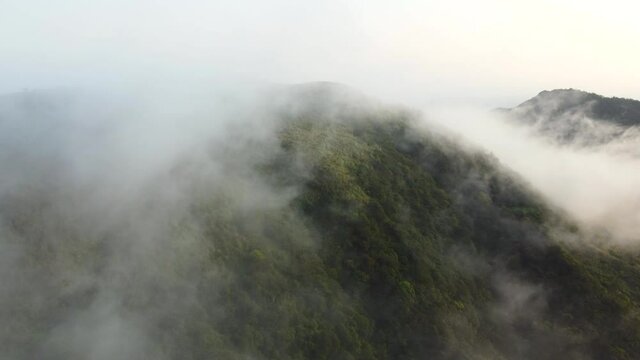 Fly in fog, Ruifang, Taiwan