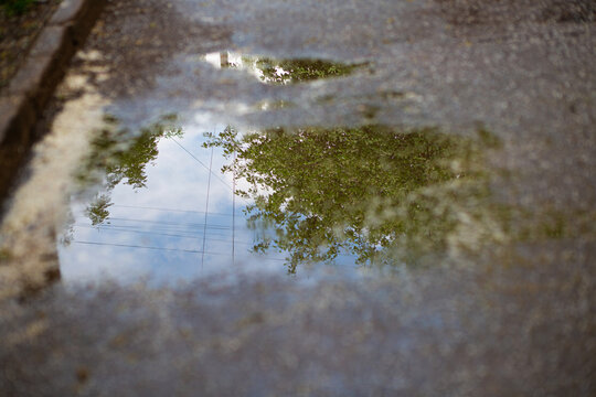 Blue sky and green trees reflection in spring puddle