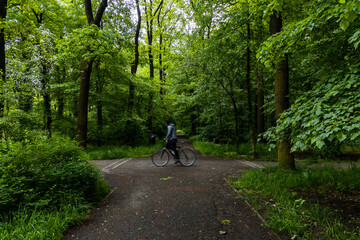 Long path in park full of green trees and bushes with riding cyclist