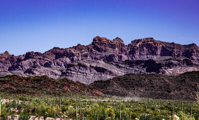 View of Organ Pipe National Monument in the Sonoran Desert, Arizona on a winter day