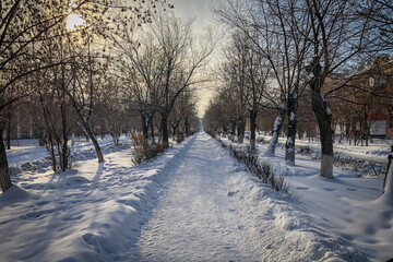 snow covered road in winter