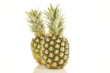 Two ripe organic pineapples, close-up, isolated on white.