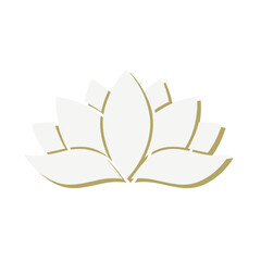 lotus flower, vector