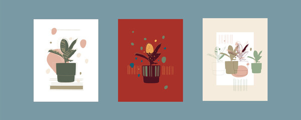 A set of posters, abstract plants combined with graphic elements, line, spot, color. Hand graphics, vector illustration
