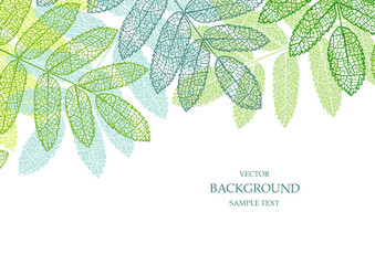 Floral vector template with leaves. Plant print for holiday poster, greeting card, cover, banner, invitation. Natural trendy design. Textured background. Botanical art.