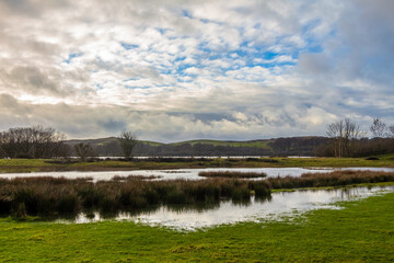 Flooded marshland at Loch Ken in winter near Parton, Galloway, Scotland