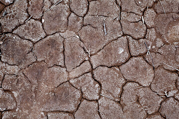 texture of the ground