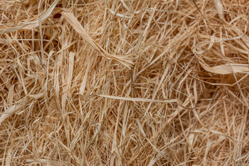 A pile of hay. Hay straw background texture