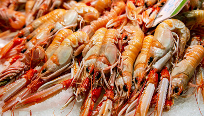 Fresh langoustines lying on ice for sale at the Boqueria market, Barcelona, Spain.