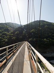 Obraz premium Puente sobre el río Yoshino, en el Valle de Iya, en la isla de Shikoku, Japón