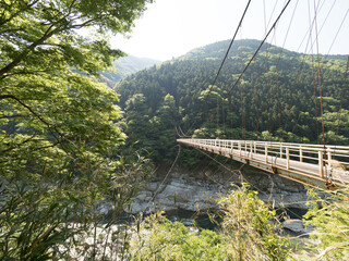 Fototapeta na wymiar Puente sobre el río Yoshino, en el Valle de Iya, en la isla de Shikoku, Japón