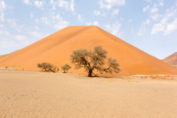 a big red sand dune at Sossusvlei