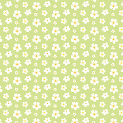 Ditsy floral pattern. White flowers pattern