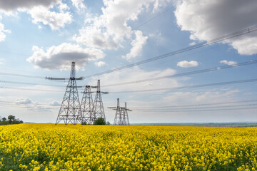 Power lines and high-voltage lines against the backdrop of blooming oilseed rape on a summer day.