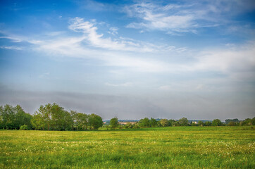 Boundless field with green grass for a good rest